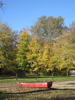 What a day for a canoe trip.jpg